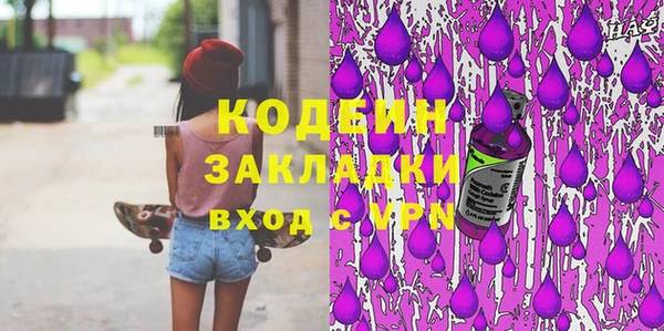 шишки Белокуриха